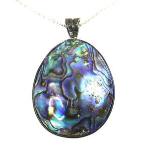 Reversible Double Sided Abalone Shell Oval Egg Pendant Plus Size Incl. Necklace